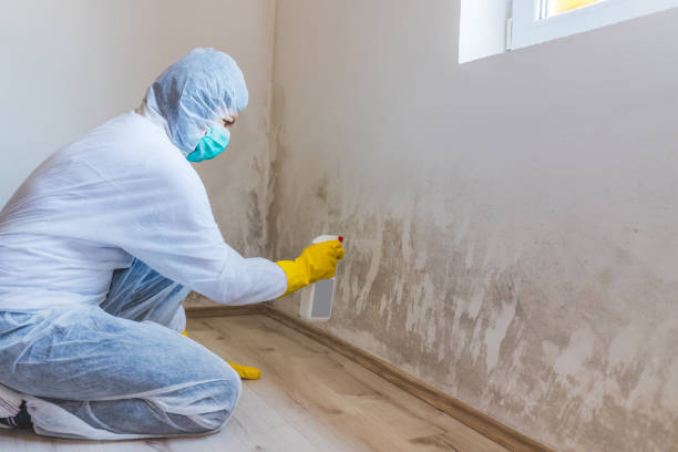 Licensed Basement Mold Remediation service in Bowie, MD - Car Mold Remediation