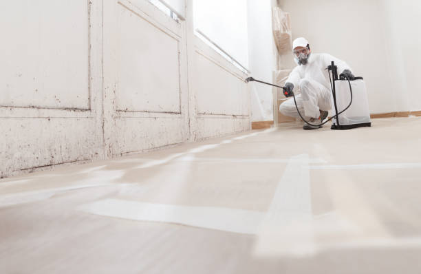 24/7 Emergency Basement Mold Remediation experts in Bowie, MD